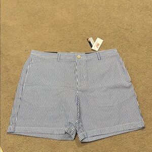 Blue Striped Men's Vineyard Vines Shorts